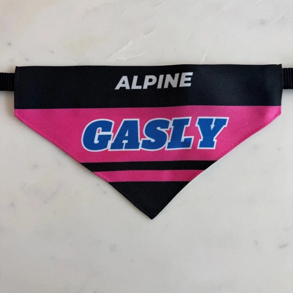 Pierre Gasly F1 Dog Bandana Medium - Formula 1 Dog Collar
